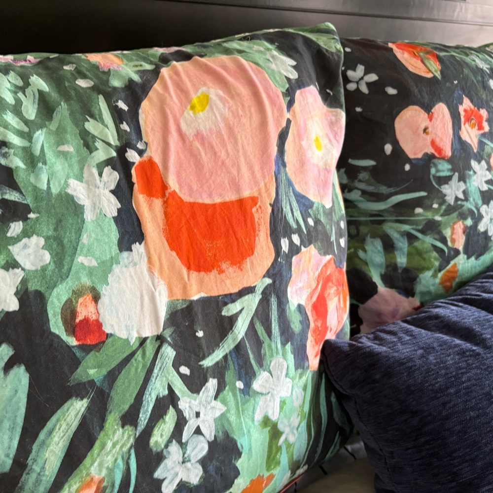 Set of 3 Anthropologie Euro Shams